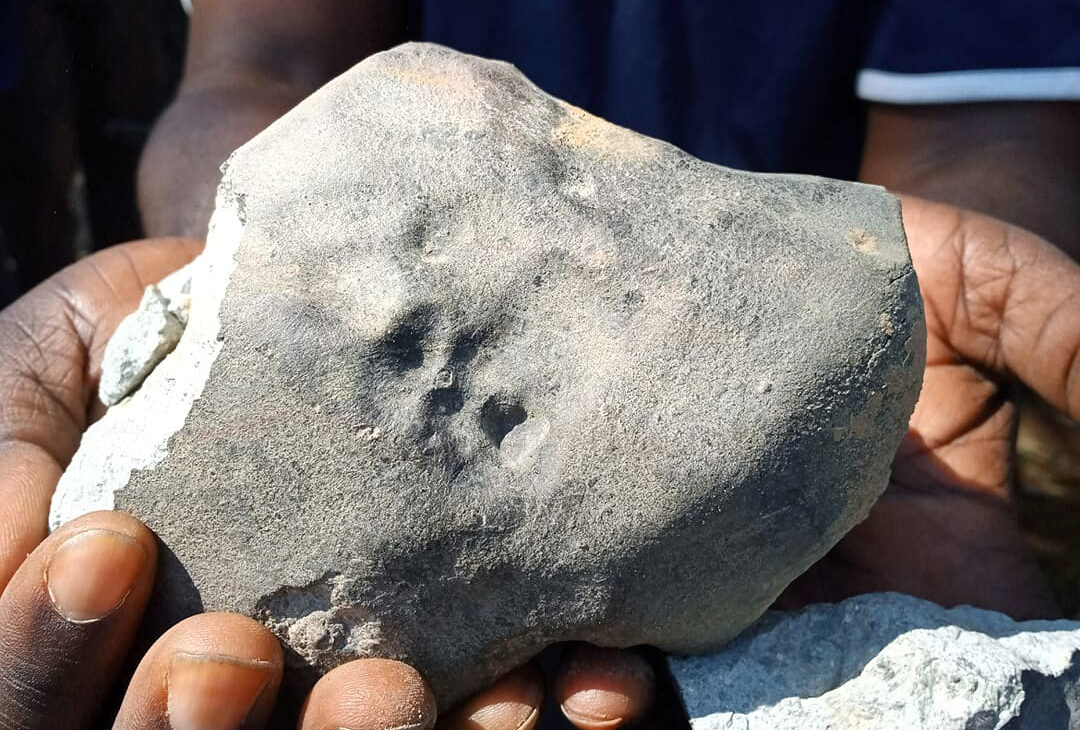 Dwa nowe spadki meteorytów w Indiach i Zambii