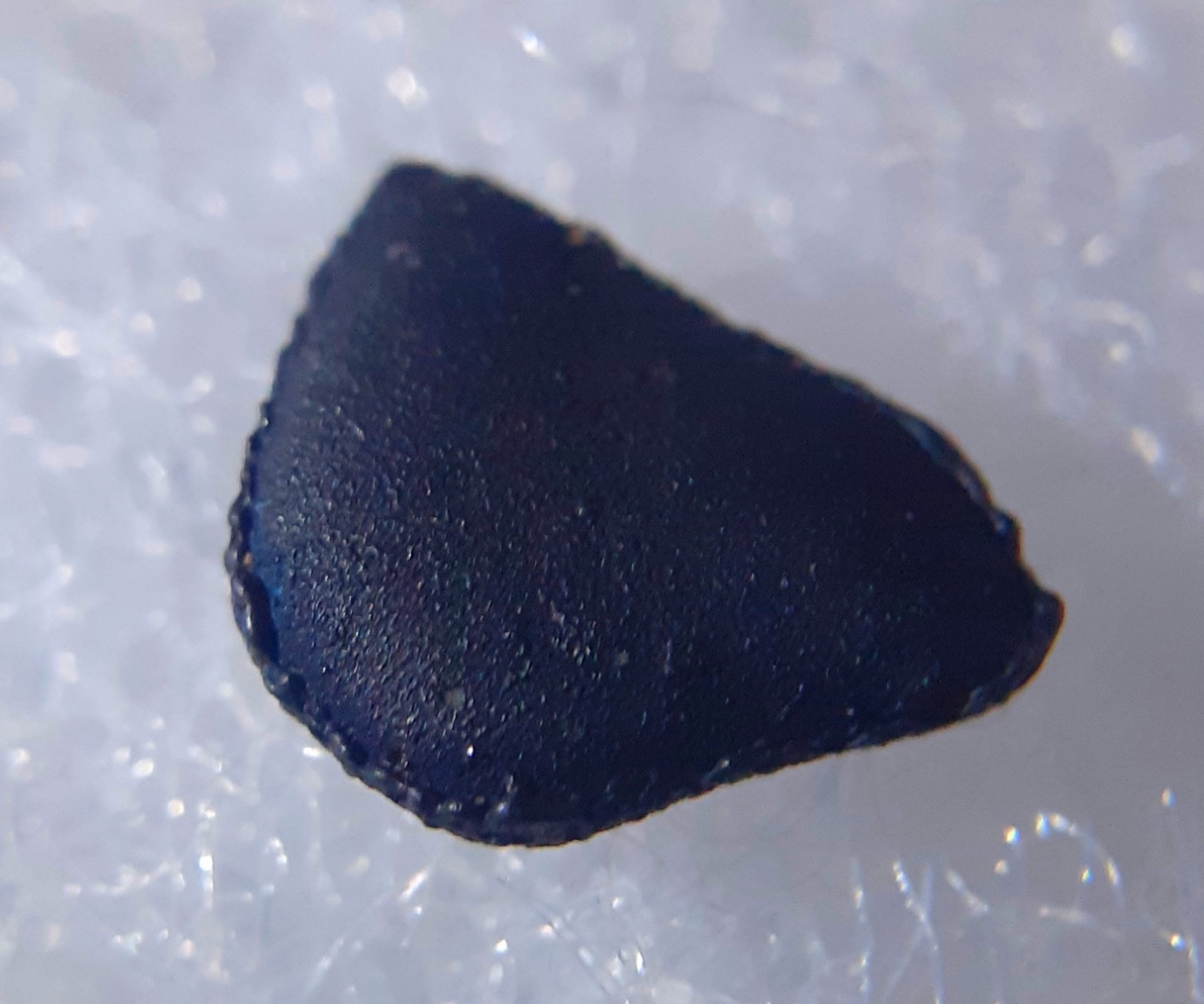 Meteoryt Tarda – nowy spadek chondrytów węglistych C2-ung!